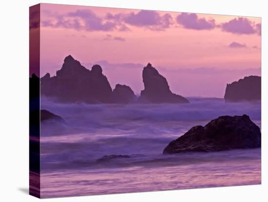 Sunset on Sea Stacks at Bandon Beach, Oregon, USA-Joe Restuccia III-Premier Image Canvas