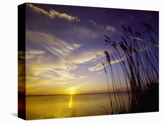 Sunset on the Barnegat Bay and Sea Oats-Bob Krist-Premier Image Canvas