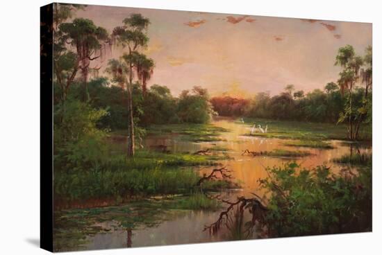 Sunset on the Bayou-Hannah Paulsen-Stretched Canvas