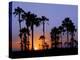 Sunset on the Edge of the Ntwetwe Saltpan Where Moklowane or African Fan Palms Grow in Profusion-Nigel Pavitt-Premier Image Canvas