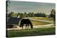 Sunset On The Farm-Galloimages Online-Stretched Canvas