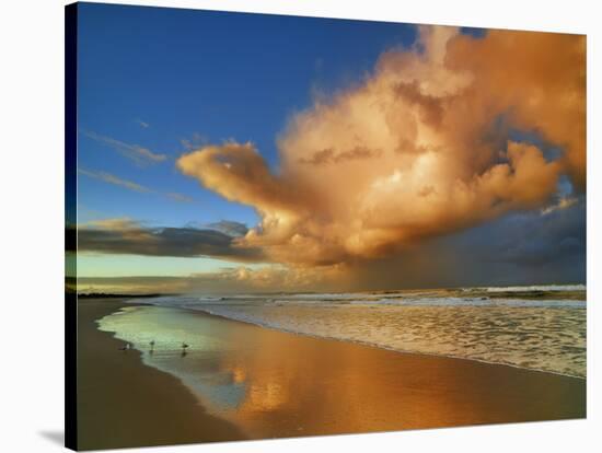 Sunset on the ocean, New South Wales, Australia-Frank Krahmer-Stretched Canvas