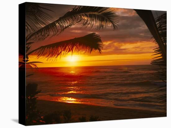 Sunset on the Ocean with Palm Trees, Oahu, HI-Bill Romerhaus-Premier Image Canvas