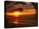 Sunset on the Ocean with Palm Trees, Oahu, HI-Bill Romerhaus-Premier Image Canvas