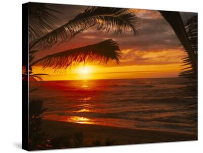 'Sunset on the Ocean with Palm Trees, Oahu, HI' Photographic Print ...