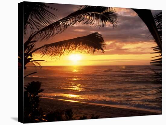 Sunset on the Ocean with Palm Trees, Oahu, HI-Bill Romerhaus-Premier Image Canvas