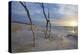 Sunset on the Western Beach of Darss Peninsula-Uwe Steffens-Premier Image Canvas