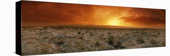 Sunset over a Desert, Palm Springs, California, USA-null-Premier Image Canvas