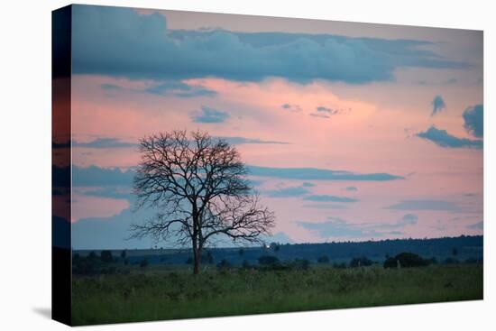 Sunset over a Farm and Cerrado Landscape in Bonito-Alex Saberi-Premier Image Canvas