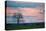 Sunset over a Farm and Cerrado Landscape in Bonito-Alex Saberi-Premier Image Canvas