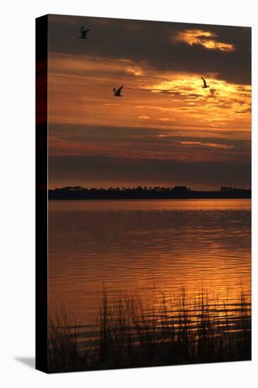 Sunset over a Lake at Panacea, Northern Florida, Usa-Natalie Tepper-Stretched Canvas