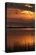 Sunset over a Lake at Panacea, Northern Florida, Usa-Natalie Tepper-Stretched Canvas