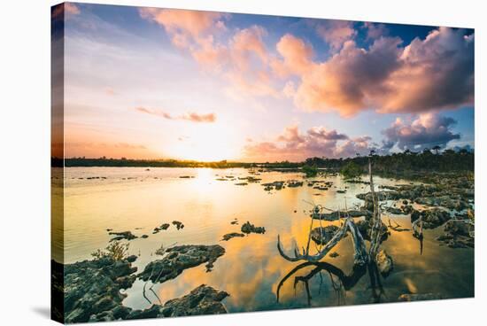 Sunset Over A Saltwater Tidal Creek And Mangrove Forest On The Island Of Eleuthera, The Bahamas-Erik Kruthoff-Stretched Canvas