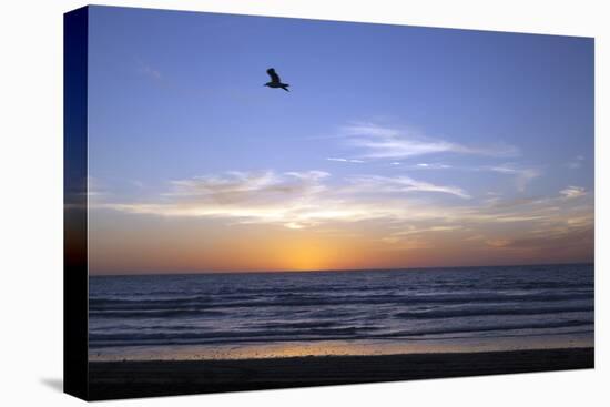 Sunset over La Jolla Coast, California, United States of America, North America-Thomas L-Premier Image Canvas