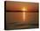 Sunset Over Lake Lanier, GA-Mark Gibson-Premier Image Canvas