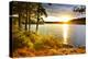 Sunset over Lake of Two Rivers in Algonquin Park, Ontario, Canada-elenathewise-Premier Image Canvas