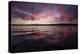 Sunset over Lake Washington. Seattle, Washington-Steven Gnam-Premier Image Canvas