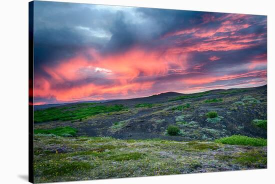 Sunset over Meadow withFlowers-null-Stretched Canvas