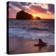 Sunset over Roche Ronde Rock Off the Coast of Biarritz, Pyrenees Atlantiques, Aquitaine-Martin Child-Premier Image Canvas