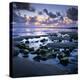 Sunset over Rock Pool, Strandhill, County Sligo, Connacht, Republic of Ireland, Europe-Stuart Black-Premier Image Canvas