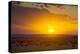 Sunset over Serengeti National Park-null-Premier Image Canvas