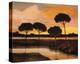 Sunset over the Arno River-Judith D'Agostino-Stretched Canvas