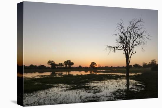 Sunset over the Delta, Khwai Conservation Area, Botswana, Africa-Sergio Pitamitz-Premier Image Canvas