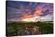 Sunset Over The Mangroves In Eleuthera, The Bahamas-Erik Kruthoff-Premier Image Canvas