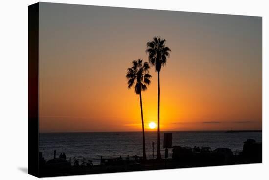 Sunset over the ocean and two palm trees in silhouettte, Dana Point, California-Ethel Davies-Premier Image Canvas