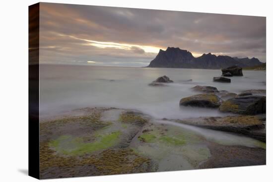 Sunset Over Utakleiv, Vestvagoya, Lofoten Islands, Norway, Scandinavia-Gary Cook-Premier Image Canvas