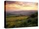 Sunset over Val D'Orcia, Near Castiglione D'Orcia, Tuscany, Italy, Europe-Patrick Dieudonne-Premier Image Canvas