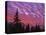 Sunset Painting Clouds Over Forest, Three Sisters Wilderness, Oregon, USA-Steve Terrill-Premier Image Canvas