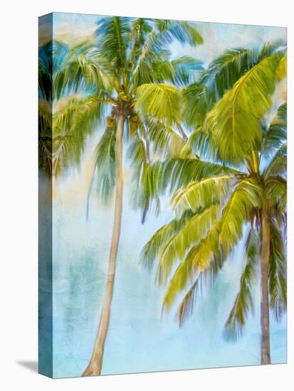 Sunset Palms 2-Kimberly Allen-Stretched Canvas