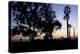 Sunset Promenade I-Rita Crane-Premier Image Canvas
