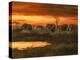 Sunset River Crossing-Trevor V. Swanson-Premier Image Canvas