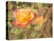 Sunset Rose-George Johnson-Premier Image Canvas