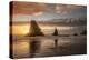 Sunset Sea Stacks-Danny Head-Premier Image Canvas