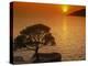 Sunset, Sveta Nedelja, Hvar Island, Croatia, Europe-Ken Gillham-Premier Image Canvas