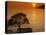 Sunset, Sveta Nedelja, Hvar Island, Croatia, Europe-Ken Gillham-Premier Image Canvas