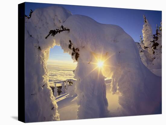 Sunset Thru the Snowghosts, Big Mountain, Whitefish, Montana, USA-Chuck Haney-Premier Image Canvas
