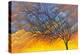 Sunset Tree-Michelle Faber-Premier Image Canvas