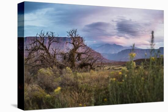 Sunset While Looking Out Over The La Sal Mountain Range Outside The Fisher Towers - Moab, Utah-Dan Holz-Premier Image Canvas