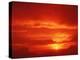 Sunset with Clouds-David Nunuk-Premier Image Canvas