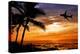 Sunset with Palm Tree and Airplane Silhouettes-krisrobin-Premier Image Canvas