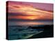 Sunset-Fernando Palma-Premier Image Canvas