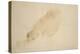 Sunset-Auguste Rodin-Premier Image Canvas