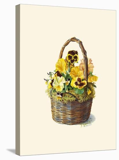 Sunshine Pansy Basket-Mary Kay Krell-Stretched Canvas