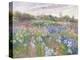 Sunsparkle on Irises, 1996-Timothy Easton-Premier Image Canvas