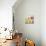 Sunspots II-Jill Martin-Stretched Canvas displayed on a wall