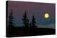 Super Moon Rising In Denali National Park-Lindsay Daniels-Premier Image Canvas